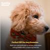 image:imageHuxley amp Kent Pet Bow Tie for Dogs amp Cats  Thanksgving Fall Adjustable Hook amp Loop Collar Accessory  Cute amp Comfortable for Holidays amp Celebrations  What Me Worry Turkey LargePupkin Spice Latte