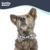 image:imageHuxley amp Kent Pet Bow Tie for Dogs amp Cats  Thanksgving Fall Adjustable Hook amp Loop Collar Accessory  Cute amp Comfortable for Holidays amp Celebrations  What Me Worry Turkey LargeTossed Beaver with Leaf