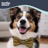 image:imageHuxley amp Kent Pet Bow Tie for Dogs amp Cats  Thanksgving Fall Adjustable Hook amp Loop Collar Accessory  Cute amp Comfortable for Holidays amp Celebrations  What Me Worry Turkey LargeSilly Squirrels