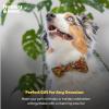 image:imageHuxley amp Kent Pet Bow Tie for Dogs amp Cats  Thanksgving Fall Adjustable Hook amp Loop Collar Accessory  Cute amp Comfortable for Holidays amp Celebrations  What Me Worry Turkey LargeLeaves  Nuts