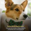 image:imageHuxley amp Kent Pet Bow Tie for Dogs amp Cats  Thanksgving Fall Adjustable Hook amp Loop Collar Accessory  Cute amp Comfortable for Holidays amp Celebrations  What Me Worry Turkey LargeFootball