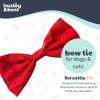 image:imageHuxley amp Kent Pet Bow Tie for Dogs amp Cats  Thanksgving Fall Adjustable Hook amp Loop Collar Accessory  Cute amp Comfortable for Holidays amp Celebrations  What Me Worry Turkey LargeMoose