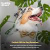 image:imageHuxley amp Kent Pet Bow Tie for Dogs amp Cats  Thanksgving Fall Adjustable Hook amp Loop Collar Accessory  Cute amp Comfortable for Holidays amp Celebrations  What Me Worry Turkey LargeSilly Squirrels