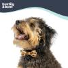 image:imageHuxley amp Kent Pet Bow Tie for Dogs amp Cats  Thanksgving Fall Adjustable Hook amp Loop Collar Accessory  Cute amp Comfortable for Holidays amp Celebrations  What Me Worry Turkey LargeWhat  Me Worry