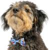 image:imageHuxley amp Kent Pet Bow Tie for Dogs amp Cats  Thanksgving Fall Adjustable Hook amp Loop Collar Accessory  Cute amp Comfortable for Holidays amp Celebrations  What Me Worry Turkey LargeI Only Have Pies for You