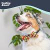 image:imageHuxley amp Kent Pet Bow Tie for Dogs amp Cats  Thanksgving Fall Adjustable Hook amp Loop Collar Accessory  Cute amp Comfortable for Holidays amp Celebrations  What Me Worry Turkey LargeHarvest Check