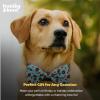 image:imageHuxley amp Kent Pet Bow Tie for Dogs amp Cats  Thanksgving Fall Adjustable Hook amp Loop Collar Accessory  Cute amp Comfortable for Holidays amp Celebrations  What Me Worry Turkey LargeTossed Beaver