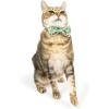 image:imageHuxley amp Kent Pet Bow Tie for Dogs amp Cats  Thanksgving Fall Adjustable Hook amp Loop Collar Accessory  Cute amp Comfortable for Holidays amp Celebrations  What Me Worry Turkey LargeHappy Camper