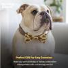 image:imageHuxley amp Kent Pet Bow Tie for Dogs amp Cats  Thanksgving Fall Adjustable Hook amp Loop Collar Accessory  Cute amp Comfortable for Holidays amp Celebrations  What Me Worry Turkey LargeWhat  Me Worry