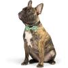 image:imageHuxley amp Kent Pet Bow Tie for Dogs amp Cats  Thanksgving Fall Adjustable Hook amp Loop Collar Accessory  Cute amp Comfortable for Holidays amp Celebrations  What Me Worry Turkey LargeHappy Camper