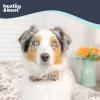 image:imageHuxley amp Kent Pet Bow Tie for Dogs amp Cats  Thanksgving Fall Adjustable Hook amp Loop Collar Accessory  Cute amp Comfortable for Holidays amp Celebrations  What Me Worry Turkey LargeSilly Squirrels