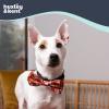 image:imageHuxley amp Kent Pet Bow Tie for Dogs amp Cats  Thanksgving Fall Adjustable Hook amp Loop Collar Accessory  Cute amp Comfortable for Holidays amp Celebrations  What Me Worry Turkey LargePupkin Spice Latte