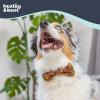 image:imageHuxley amp Kent Pet Bow Tie for Dogs amp Cats  Thanksgving Fall Adjustable Hook amp Loop Collar Accessory  Cute amp Comfortable for Holidays amp Celebrations  What Me Worry Turkey LargeLeaves  Nuts