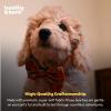 image:imageHuxley amp Kent Pet Bow Tie for Dogs amp Cats  Thanksgving Fall Adjustable Hook amp Loop Collar Accessory  Cute amp Comfortable for Holidays amp Celebrations  What Me Worry Turkey LargePupkin Spice Latte