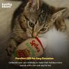 image:imageHuxley amp Kent Plush Cat Toy  Holiday Interactive Catnip Toy for Cats amp Kittens  Soft with Crinkle amp Catnip  Fun Indoor Play  Dilly ClausMeh Nog