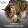 image:imageHuxley amp Kent Plush Cat Toy  Holiday Interactive Catnip Toy for Cats amp Kittens  Soft with Crinkle amp Catnip  Fun Indoor Play  Dilly ClausMeh Nog
