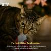image:imageHuxley amp Kent Plush Cat Toy  Holiday Interactive Catnip Toy for Cats amp Kittens  Soft with Crinkle amp Catnip  Fun Indoor Play  Dilly ClausMittens for Kittens