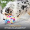 image:imageHuxley amp Kent Funny Dog Toy wSqueaker  Power Plush Squeaky Dog Toys for Small Medium amp Large Dogs  Soft Stuffed Animal for Indoor Play amp Fetch  Im Sweet Lollipop LargeLarge