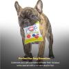 image:imageHuxley amp Kent Funny Dog Toy wSqueaker  Power Plush Squeaky Dog Toys for Small Medium amp Large Dogs  Soft Stuffed Animal for Indoor Play amp Fetch  Farties LargeLarge