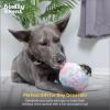 image:imageHuxley amp Kent Funny Dog Toy wSqueaker  Power Plush Squeaky Dog Toys for Small Medium amp Large Dogs  Soft Stuffed Animal for Indoor Play amp Fetch  Im Sweet Lollipop LargeSmall