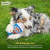image:imageHuxley amp Kent Funny Dog Toy wSqueaker  Power Plush Squeaky Dog Toys for Small Medium amp Large Dogs  Soft Stuffed Animal for Indoor Play amp Fetch  Farties LargeSmall