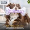 image:imageHuxley amp Kent Funny Dog Toy wSqueaker  Power Plush Squeaky Dog Toys for Small Medium amp Large Dogs  Soft Stuffed Animal for Indoor Play amp Fetch  Im Sweet Lollipop LargeLarge