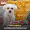 image:imageHuxley amp Kent Funny Dog Toy wSqueaker  Power Plush Squeaky Dog Toys for Small Medium amp Large Dogs  Soft Stuffed Animal for Indoor Play amp Fetch  Farties LargeSmall