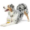image:imageHuxley amp Kent Funny Dog Toy wSqueaker  Power Plush Squeaky Dog Toys for Small Medium amp Large Dogs  Soft Stuffed Animal for Indoor Play amp Fetch  Farties LargeLarge