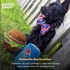 image:imageHuxley amp Kent Funny Dog Toy wSqueaker  Power Plush Squeaky Dog Toys for Small Medium amp Large Dogs  Soft Stuffed Animal for Indoor Play amp Fetch  Farties LargeSmall