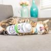 image:imageHuxley amp Kent Kicker Plush Cat Toy  Interactive Catnip Toy for Cats amp Kittens  Soft Canvas for Kicking amp Batting  Fun Indoor Play  Purrrties KickerKitty Klaw Kicks  Lime