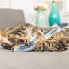 image:imageHuxley amp Kent Kicker Plush Cat Toy  Interactive Catnip Toy for Cats amp Kittens  Soft Canvas for Kicking amp Batting  Fun Indoor Play  Purrrties KickerSardine