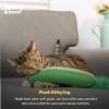 image:imageHuxley amp Kent Kicker Plush Cat Toy  Interactive Catnip Toy for Cats amp Kittens  Soft Canvas for Kicking amp Batting  Fun Indoor Play  Purrrties KickerPickle