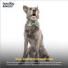 image:imageHuxley amp Kent Pet Bow Tie for Dogs amp Cats  Adjustable Hook amp Loop Collar Accessory  Cute amp Comfortable for Holidays amp Celebrations  Lime Madras SmallIm Prickly Cactus