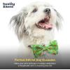image:imageHuxley amp Kent Pet Bow Tie for Dogs amp Cats  Adjustable Hook amp Loop Collar Accessory  Cute amp Comfortable for Holidays amp Celebrations  Lime Madras SmallGarden Party