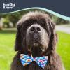 image:imageHuxley amp Kent Pet Bow Tie for Dogs amp Cats  Adjustable Hook amp Loop Collar Accessory  Cute amp Comfortable for Holidays amp Celebrations  Lime Madras SmallBlueGreen Check