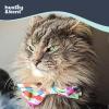 image:imageHuxley amp Kent Pet Bow Tie for Dogs amp Cats  Adjustable Hook amp Loop Collar Accessory  Cute amp Comfortable for Holidays amp Celebrations  Lime Madras SmallYellowOrange