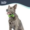 image:imageHuxley amp Kent Pet Bow Tie for Dogs amp Cats  Adjustable Hook amp Loop Collar Accessory  Cute amp Comfortable for Holidays amp Celebrations  Lime Madras SmallGarden Party