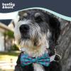 image:imageHuxley amp Kent Pet Bow Tie for Dogs amp Cats  Adjustable Hook amp Loop Collar Accessory  Cute amp Comfortable for Holidays amp Celebrations  Lime Madras SmallFlamingo