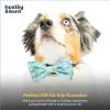 image:imageHuxley amp Kent Pet Bow Tie for Dogs amp Cats  Adjustable Hook amp Loop Collar Accessory  Cute amp Comfortable for Holidays amp Celebrations  Lime Madras SmallChicks  Eggs