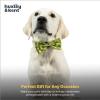image:imageHuxley amp Kent Pet Bow Tie for Dogs amp Cats  Adjustable Hook amp Loop Collar Accessory  Cute amp Comfortable for Holidays amp Celebrations  Lime Madras SmallHappy Avacados