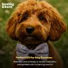 image:imageHuxley amp Kent Pet Bow Tie for Dogs amp Cats  Adjustable Hook amp Loop Collar Accessory  Cute amp Comfortable for Holidays amp Celebrations  Lime Madras SmallFunny Bunny
