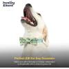 image:imageHuxley amp Kent Pet Bow Tie for Dogs amp Cats  Adjustable Hook amp Loop Collar Accessory  Cute amp Comfortable for Holidays amp Celebrations  Lime Madras SmallEverything Spring