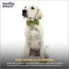 image:imageHuxley amp Kent Pet Bow Tie for Dogs amp Cats  Adjustable Hook amp Loop Collar Accessory  Cute amp Comfortable for Holidays amp Celebrations  Lime Madras SmallHappy Avacados