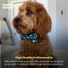 image:imageHuxley amp Kent Pet Bow Tie for Dogs amp Cats  Adjustable Hook amp Loop Collar Accessory  Cute amp Comfortable for Holidays amp Celebrations  Lime Madras SmallNavy Check