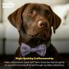 image:imageHuxley amp Kent Pet Bow Tie for Dogs amp Cats  Adjustable Hook amp Loop Collar Accessory  Cute amp Comfortable for Holidays amp Celebrations  Lime Madras SmallFunny Bunny