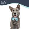 image:imageHuxley amp Kent Pet Bow Tie for Dogs amp Cats  Adjustable Hook amp Loop Collar Accessory  Cute amp Comfortable for Holidays amp Celebrations  Lime Madras SmallBusy Bees