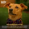 image:imageHuxley amp Kent Pet Bow Tie for Dogs amp Cats  Adjustable Hook amp Loop Collar Accessory  Cute amp Comfortable for Holidays amp Celebrations  Lime Madras SmallSummer Icons