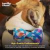 image:imageHuxley amp Kent Pet Bow Tie for Dogs amp Cats  Adjustable Hook amp Loop Collar Accessory  Cute amp Comfortable for Holidays amp Celebrations  Lime Madras SmallBlueGreen Check