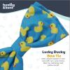 image:imageHuxley amp Kent Pet Bow Tie for Dogs amp Cats  Adjustable Hook amp Loop Collar Accessory  Cute amp Comfortable for Holidays amp Celebrations  Lime Madras SmallLucky Ducky
