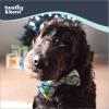 image:imageHuxley amp Kent Pet Bow Tie for Dogs amp Cats  Adjustable Hook amp Loop Collar Accessory  Cute amp Comfortable for Holidays amp Celebrations  Lime Madras SmallLime Madras